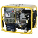 Stromerzeuger ENDRESS ESE 604 DBG ES FS DIN, 6,5 kVA,...